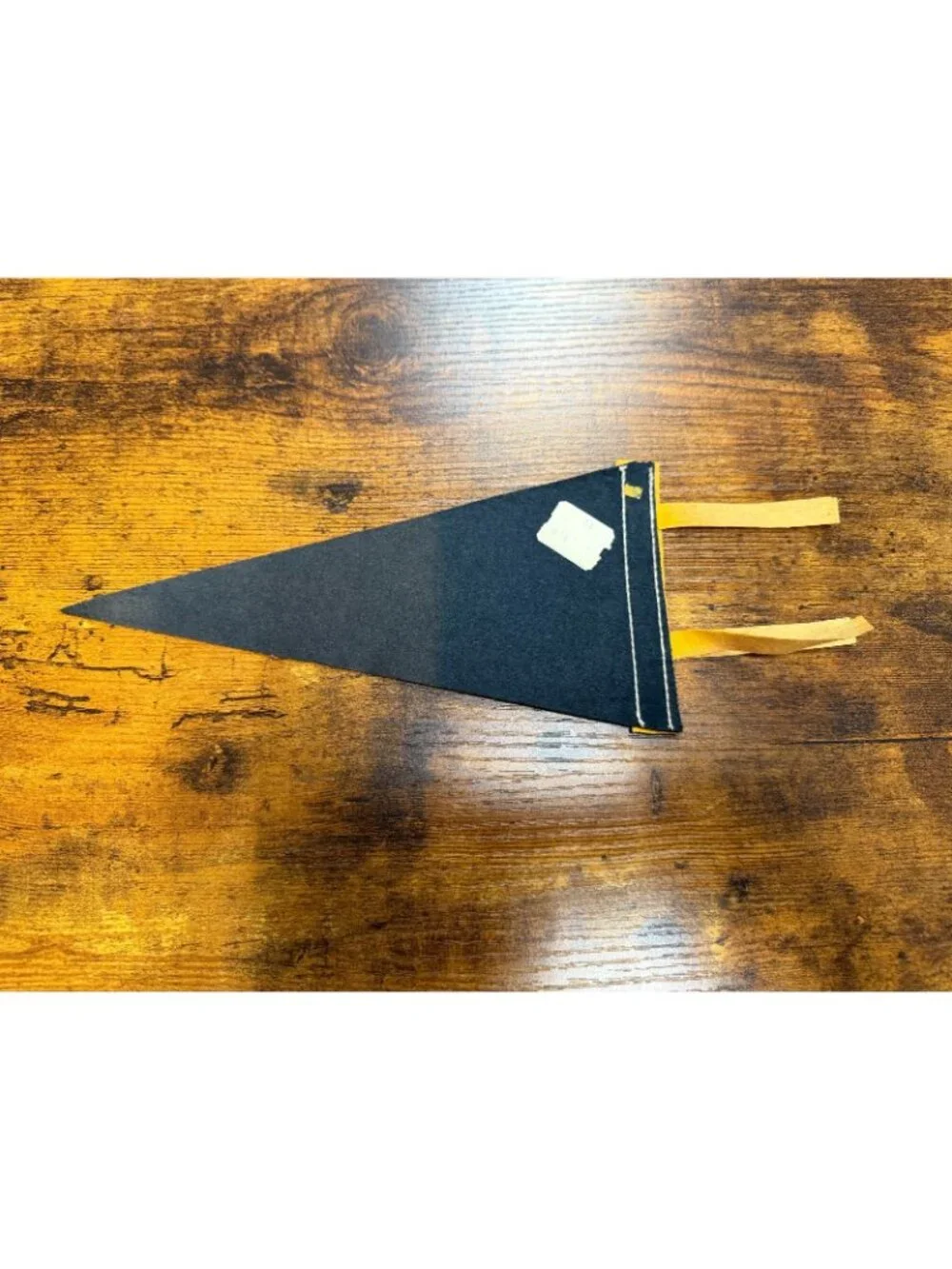 Vintage Wisconsin Dells, Wisconsin mini pennant